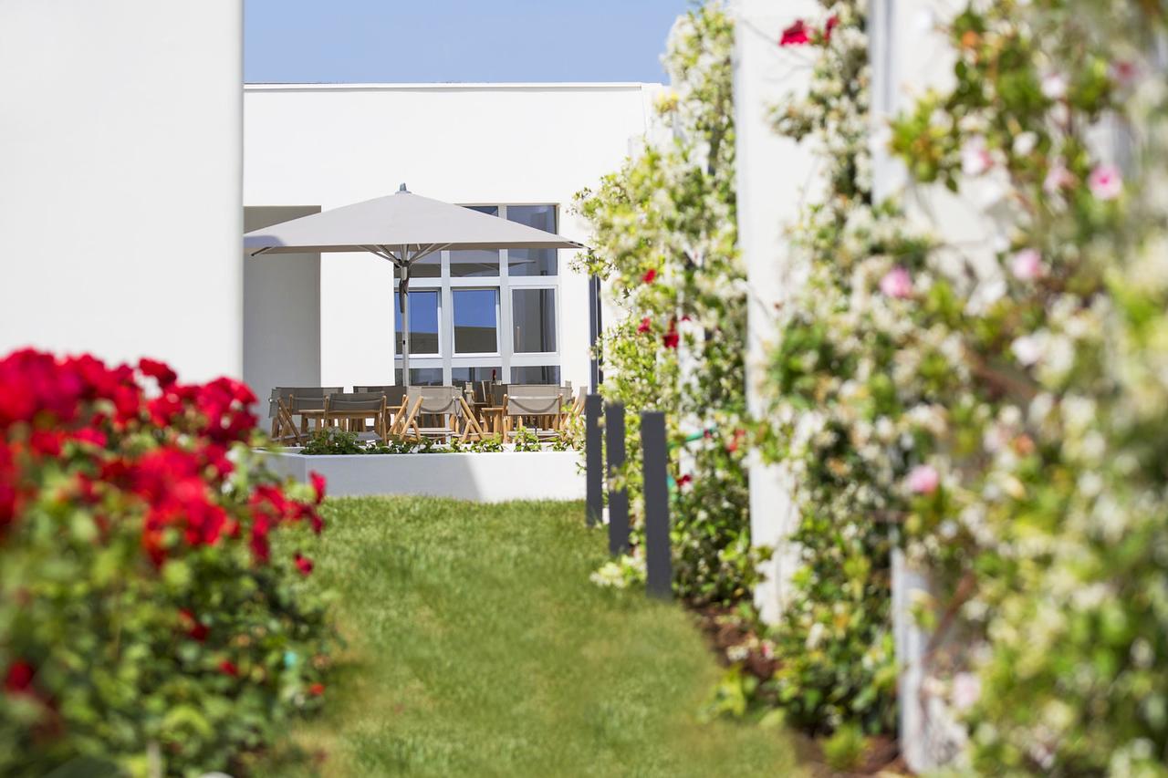 Vi Guest house *